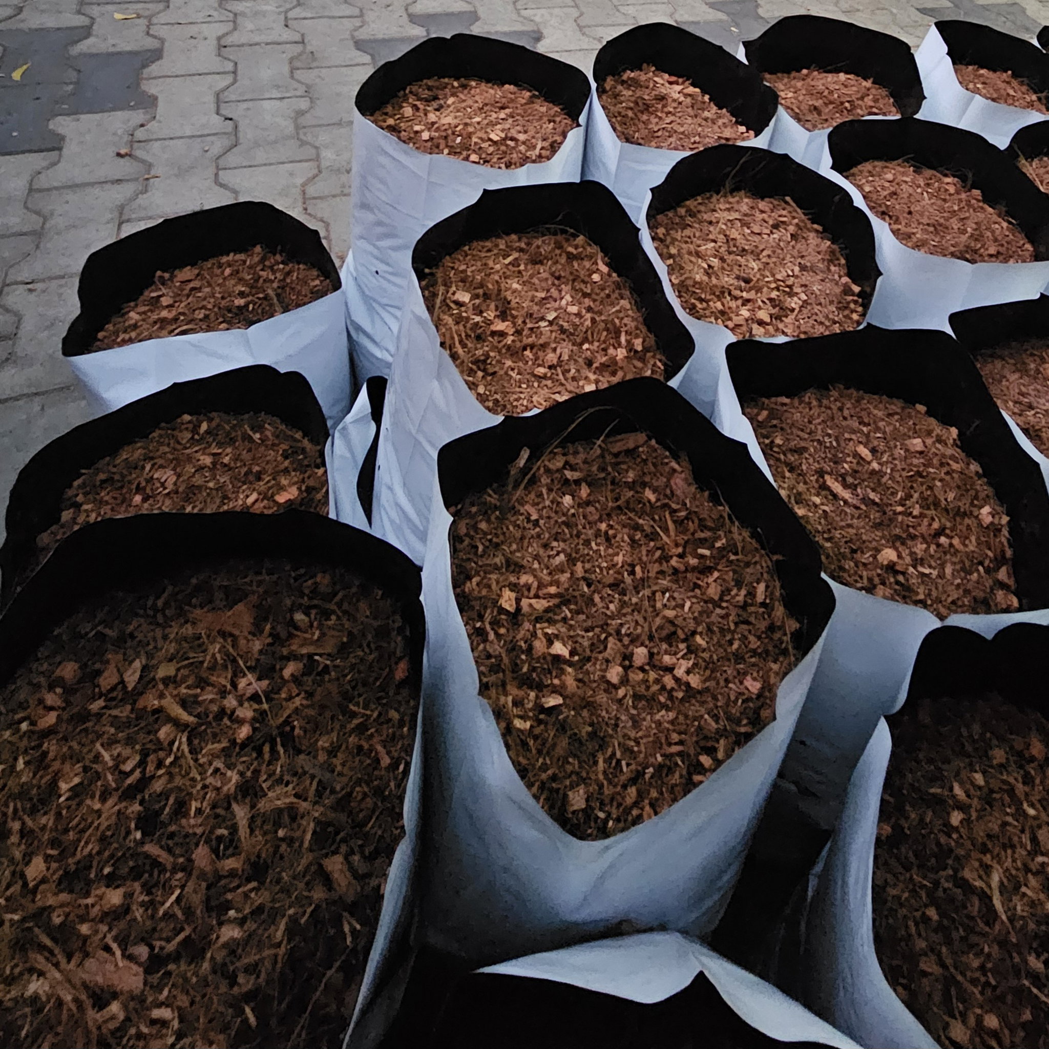 Filled Grow Bags (පිරවූ වගා මලු)_4