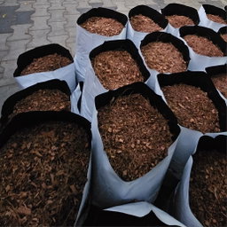 Filled Grow Bags (පිරවූ වගා මලු)