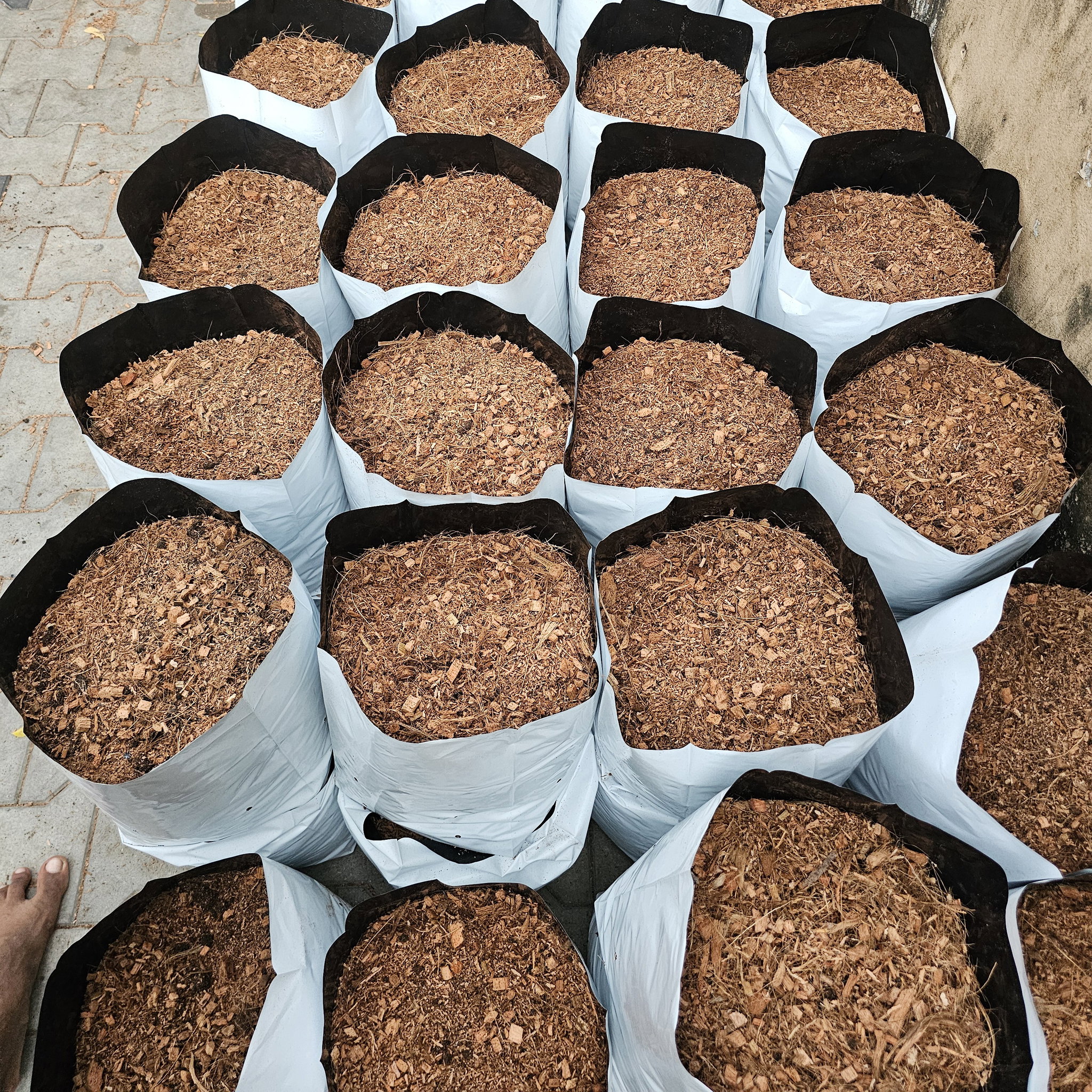 Filled Grow Bags (පිරවූ වගා මලු)_3