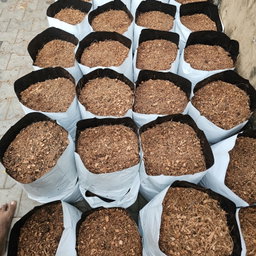 Filled Grow Bags (පිරවූ වගා මලු)