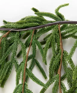 6' Norfolk Island Pine Mantle Garland