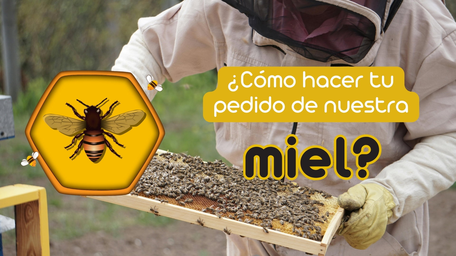 Agrega tus productos al carrito y sigue los pasos.     Pagas cuando recibes tu pedido_0
