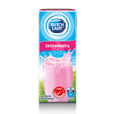 DUTCH LADY STRAWBERRY 200ML_0