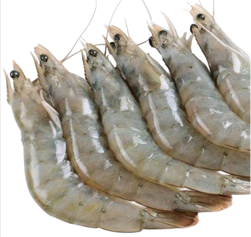 Crevettes grises
