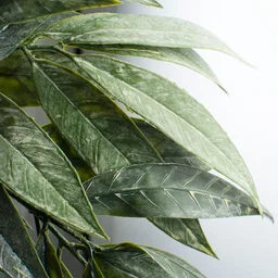 27" Bay Leaf Wreath: Green