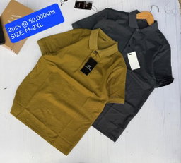 Polo Tshirts 