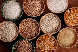 Legumes and Grains حبوب