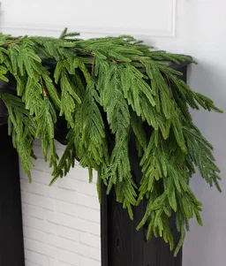 6' Norfolk Island Pine Hanging Garland