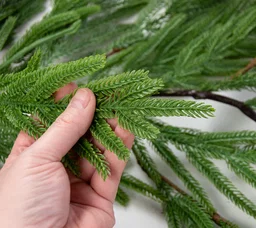 6' Norfolk Island Pine Hanging Garland