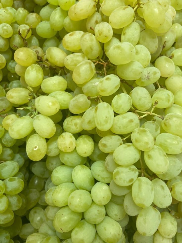 Uvas Verdes (sin semillas/libra)