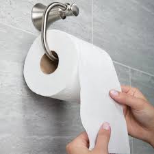 Tissue Toilet Roll (10rolls/pkt)