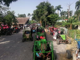 Buggy tours