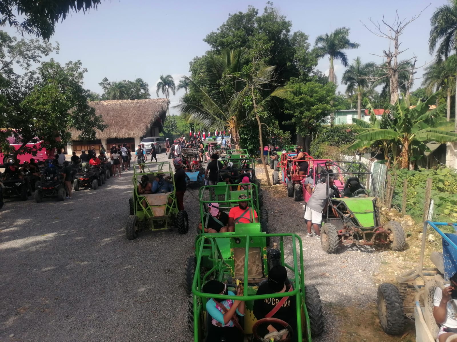Buggy tours_4