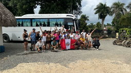Buggy tours