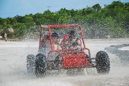 Buggy tours