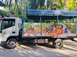 Buggy tours