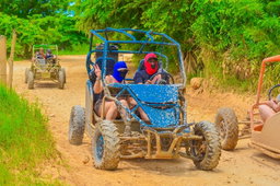 Buggy tours