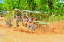 Buggy tours