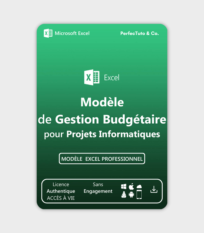 Budget pour Projet informatique_2