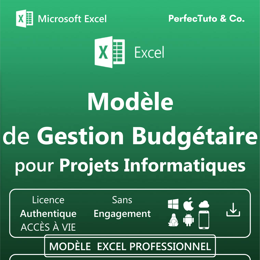 Budget pour Projet informatique_1