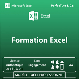Formation Excel