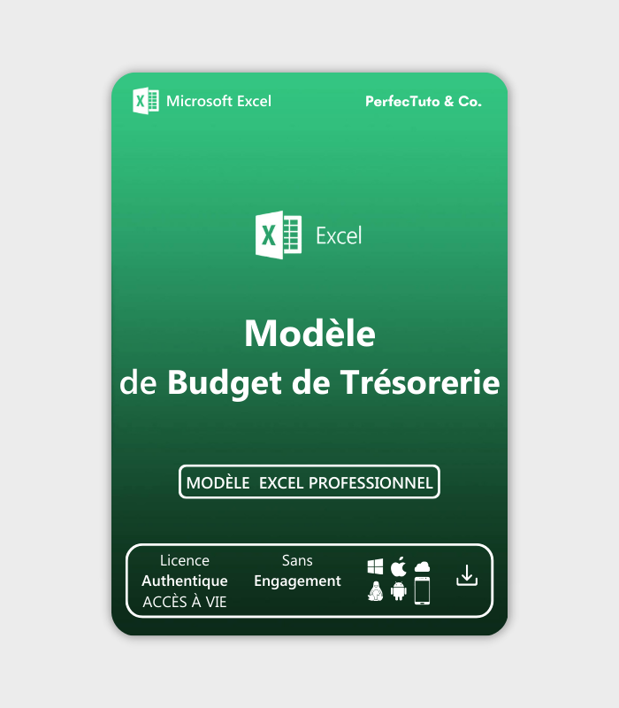 Budget de Trésorerie_2