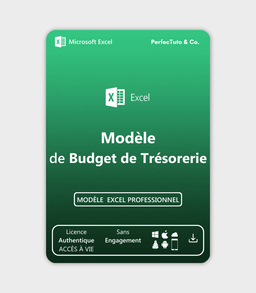 Budget de Trésorerie