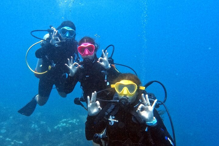 Buceo en isla catalina_4