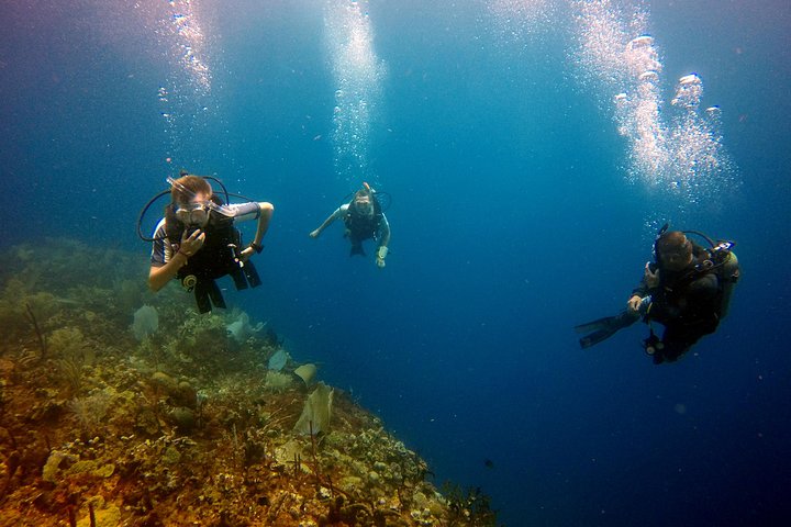 Buceo en isla catalina_3