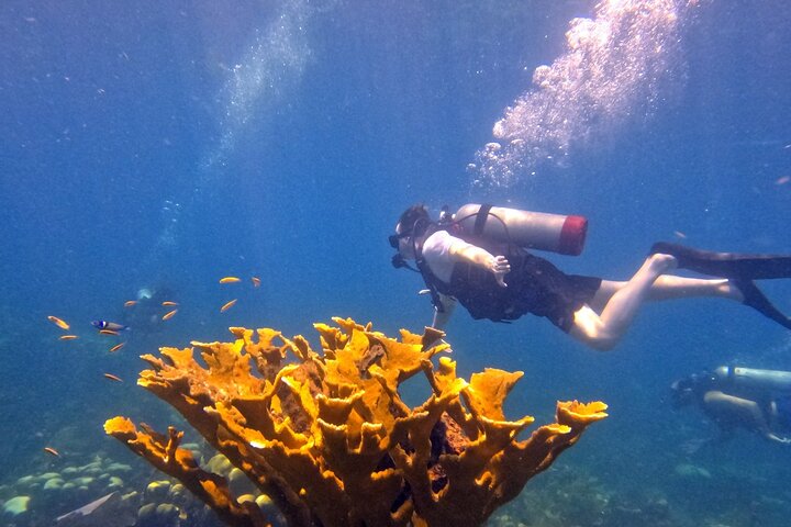 Buceo en isla catalina