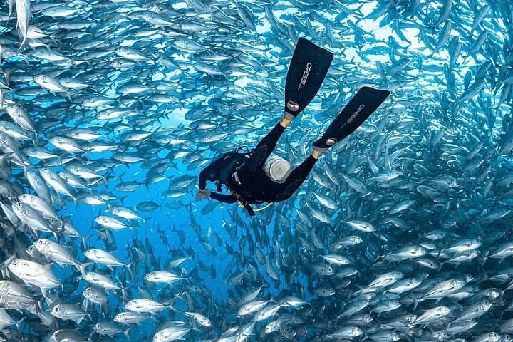 Buceo en isla catalina_2