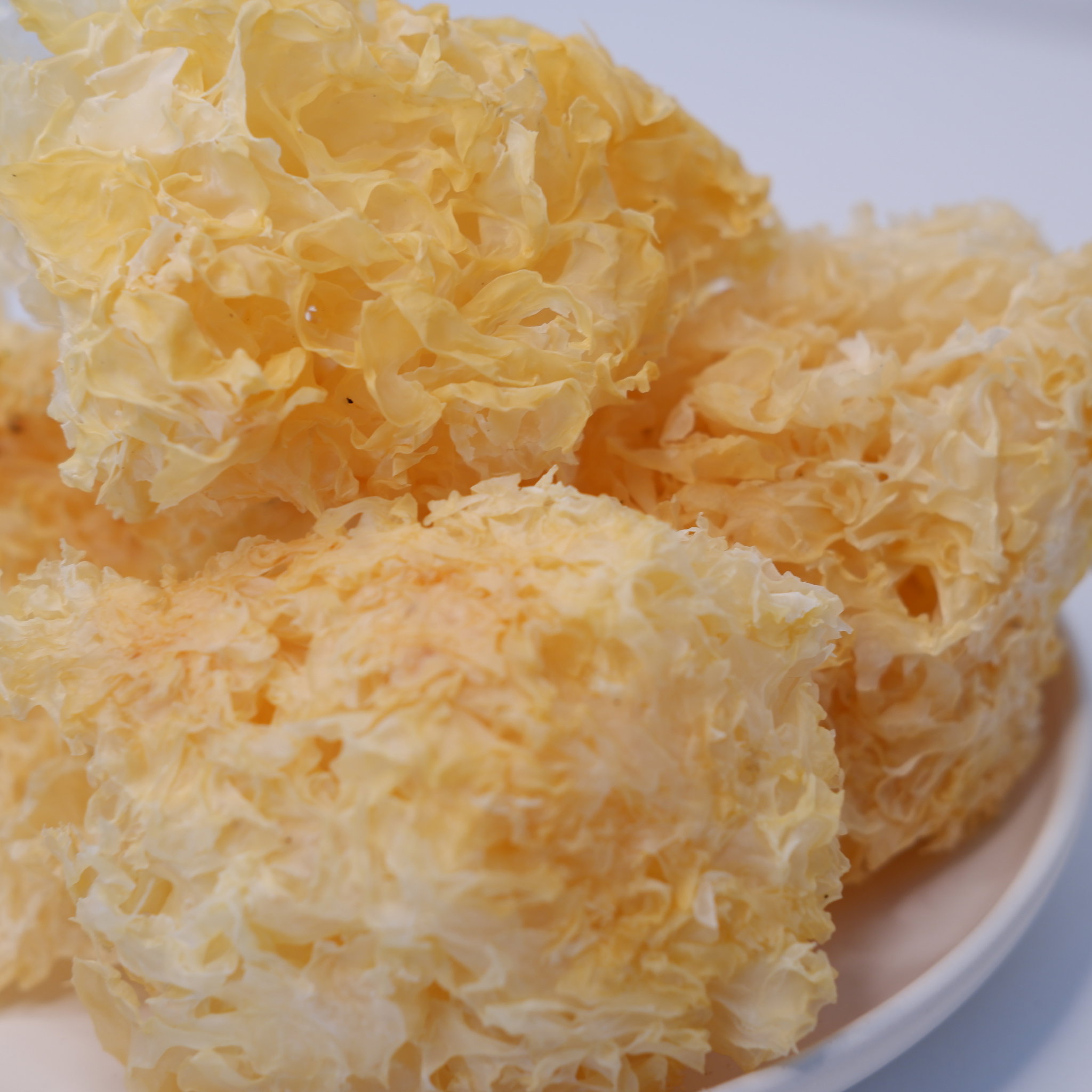 Snow Fungus (White Fungus) 白木耳 100g_1