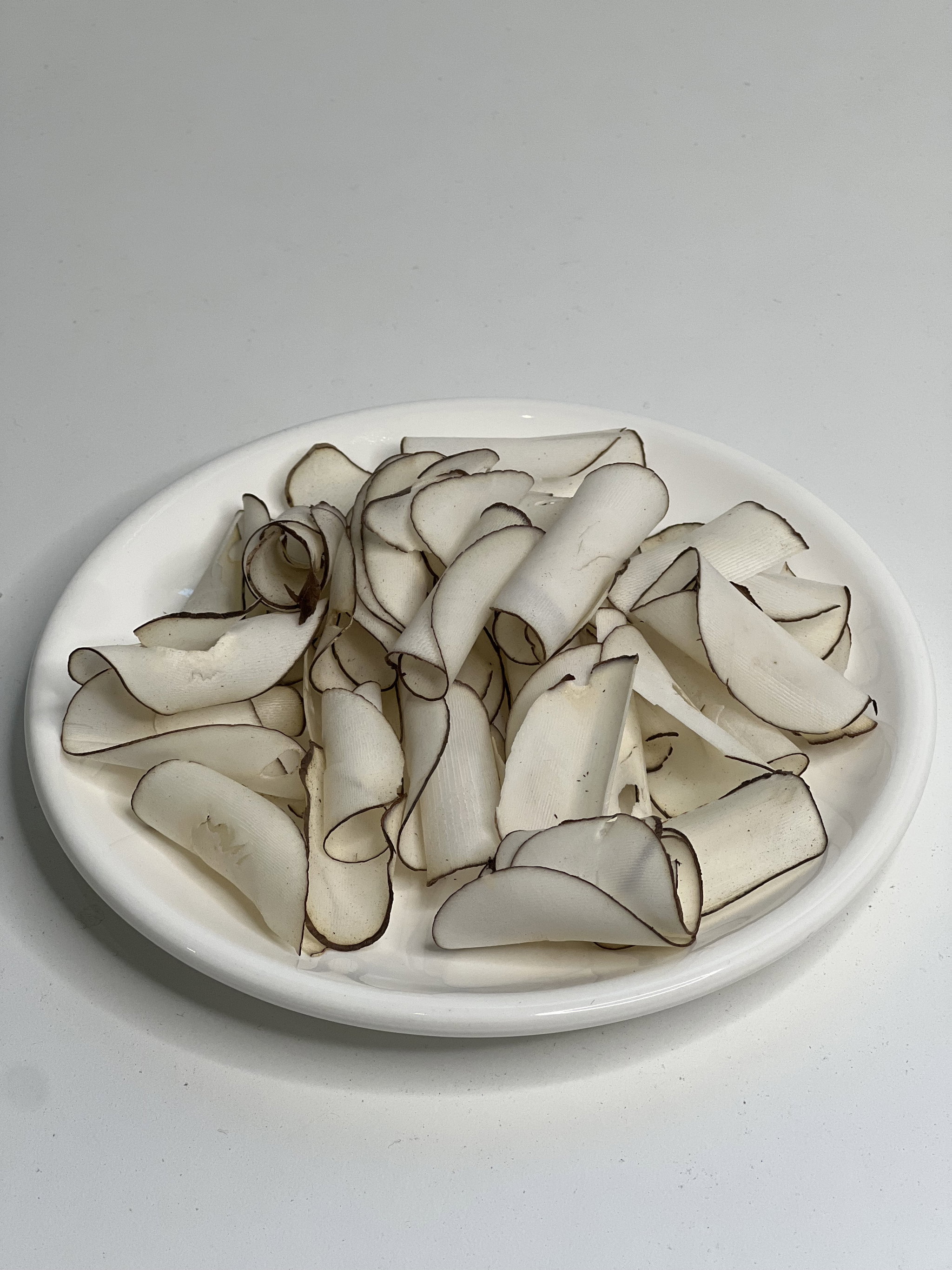 Dried Sea Coconut 海底椰干 100g_1