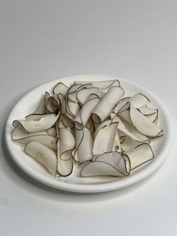 Dried Sea Coconut 海底椰干 100g