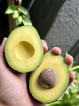 Premium Fruits