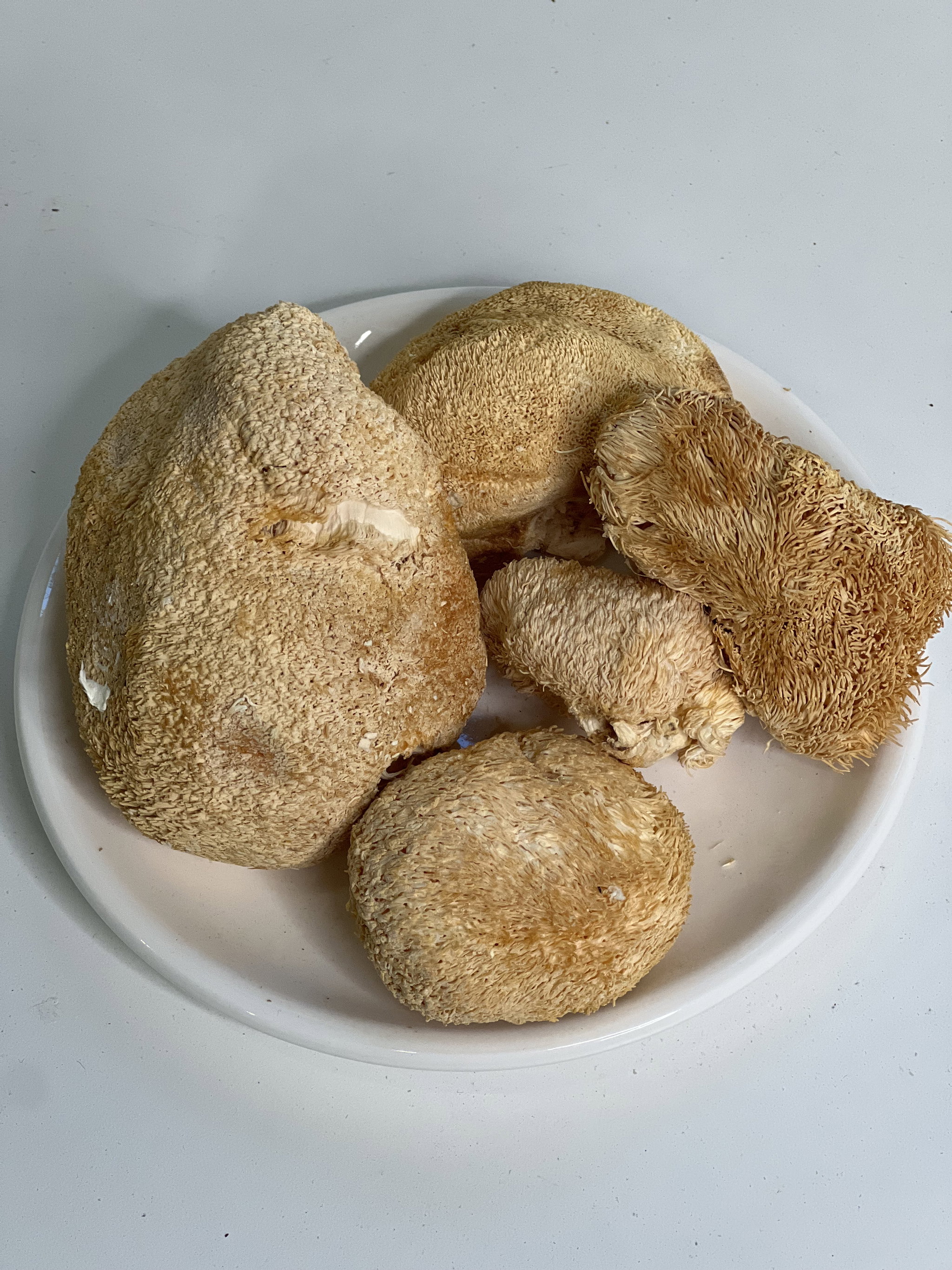 Lion’s Mane Mushroom (Large) 猴头菇(大) 80g_1