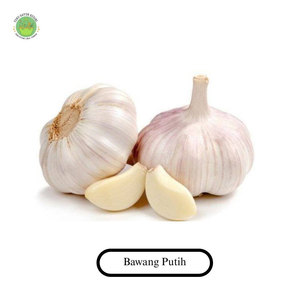 Bawang Putih_0