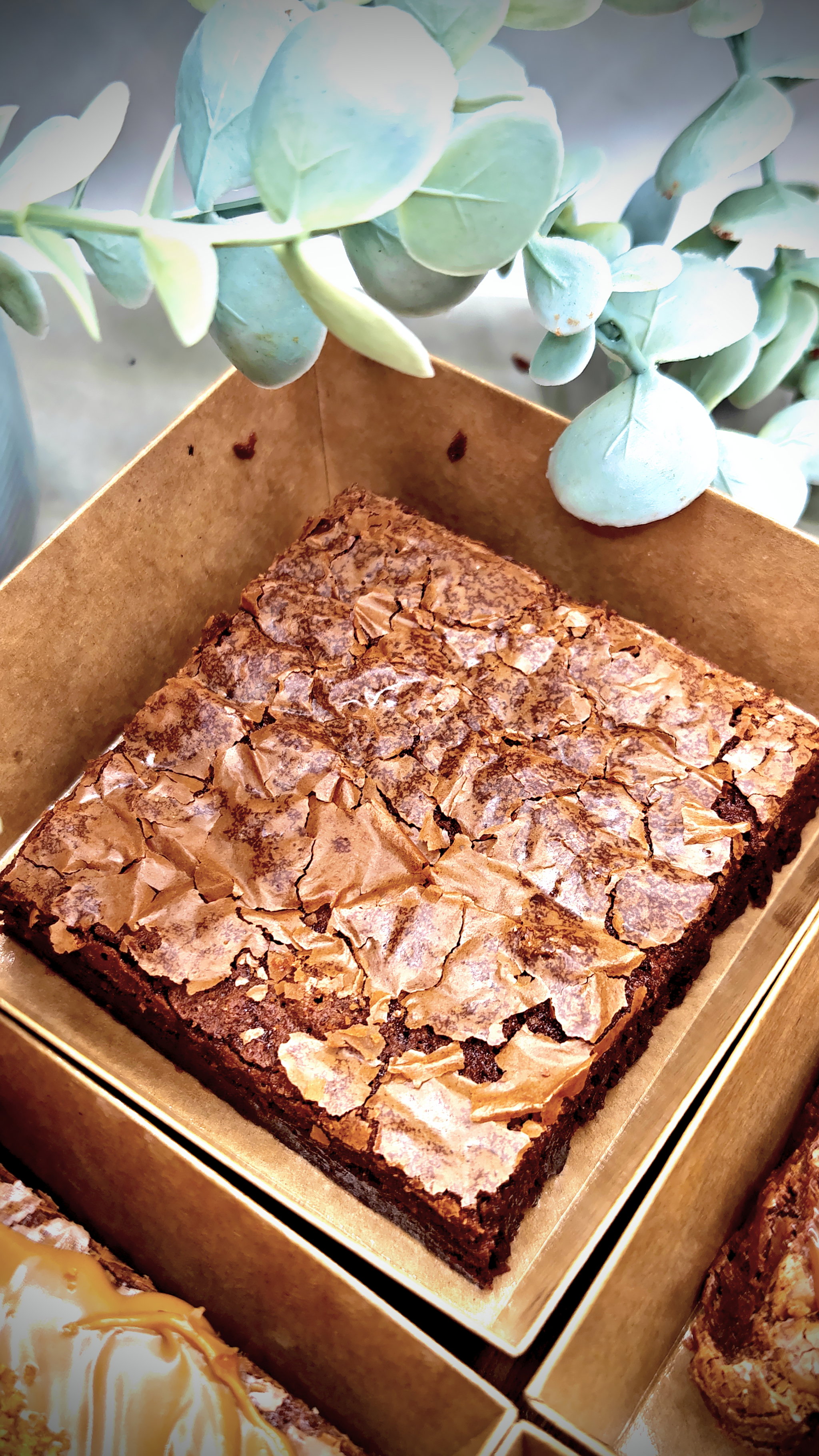 Callebaut Fudge Brownie_5