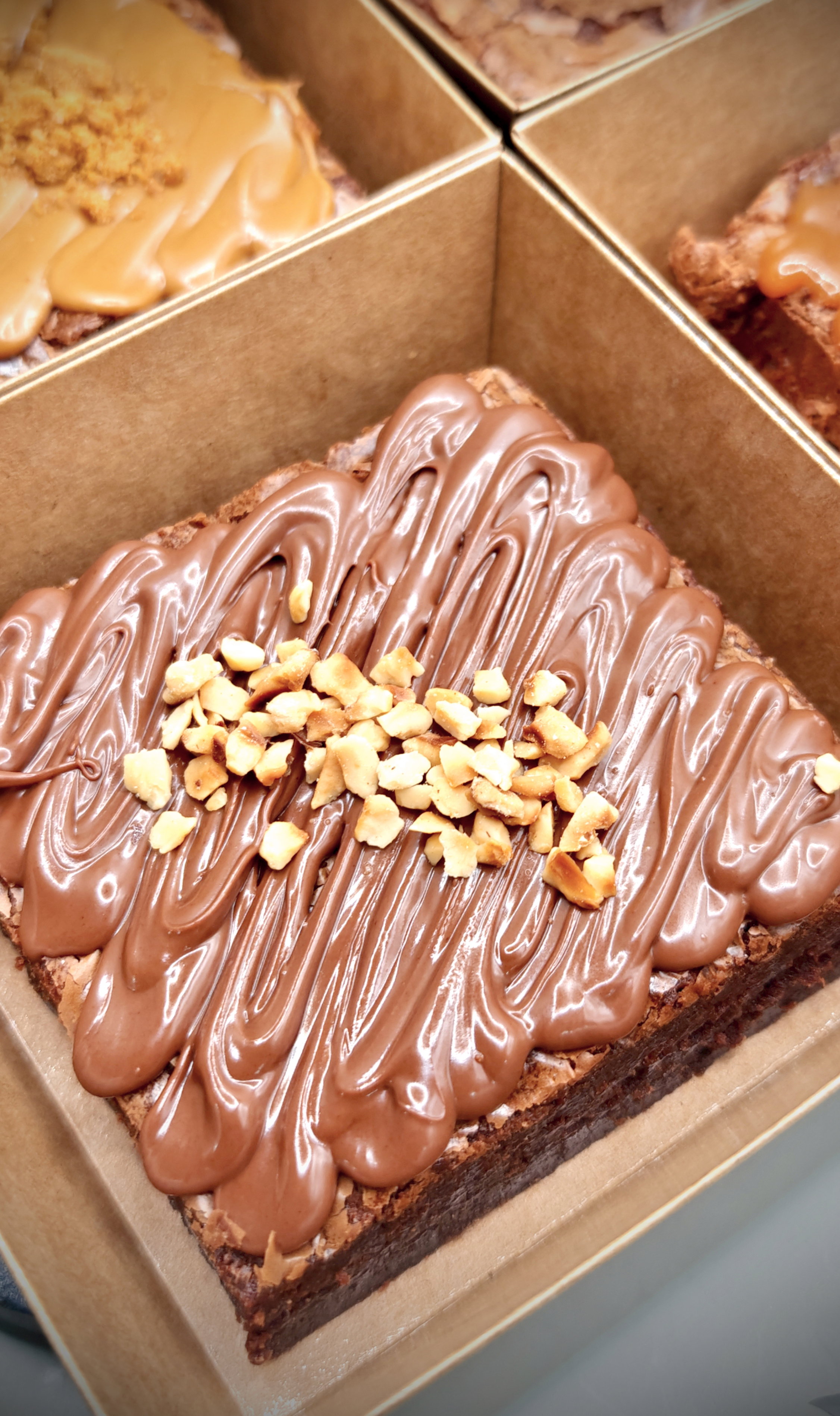 Nutella Fudge Brownie_4