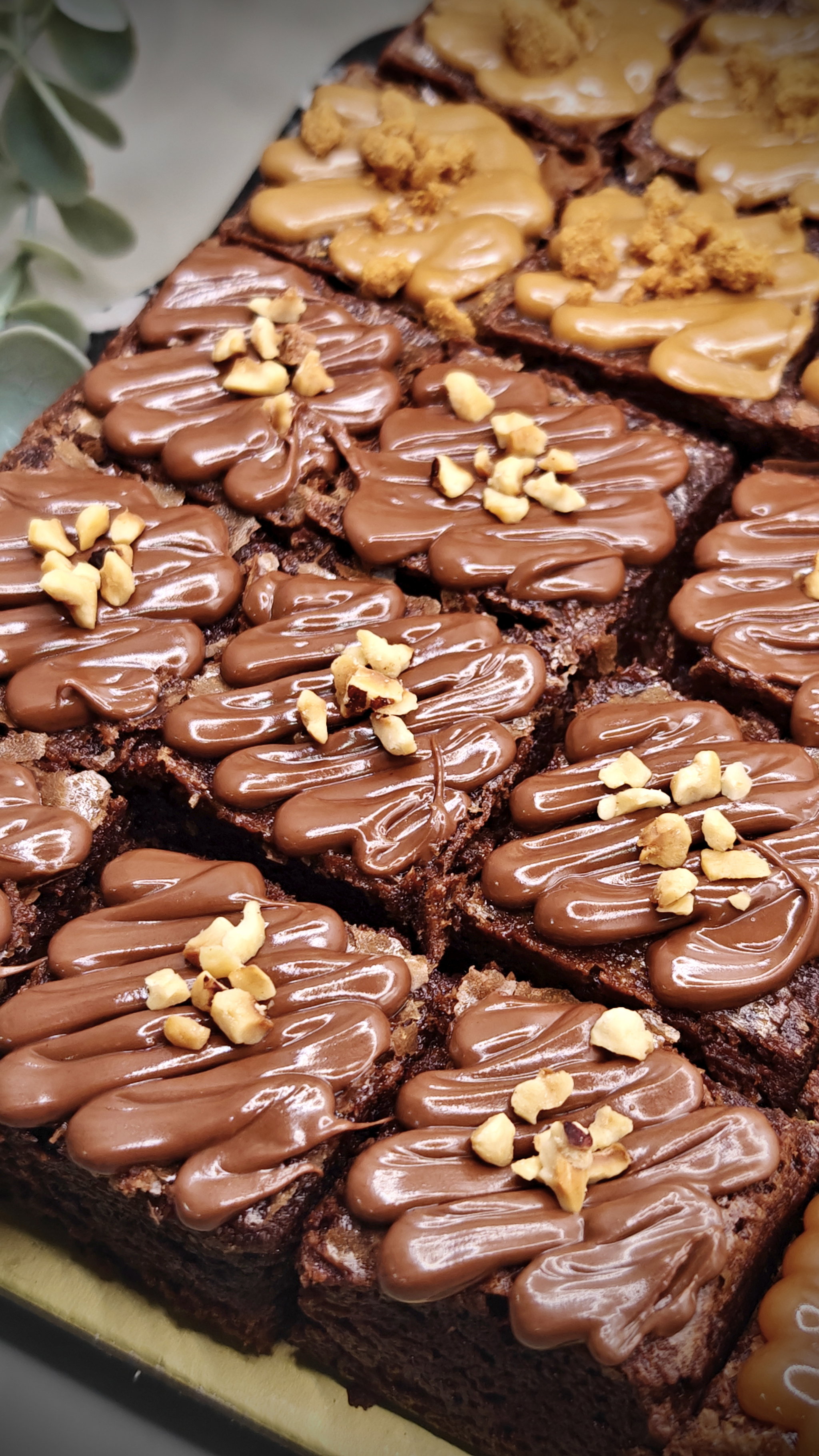 Nutella Fudge Brownie_1