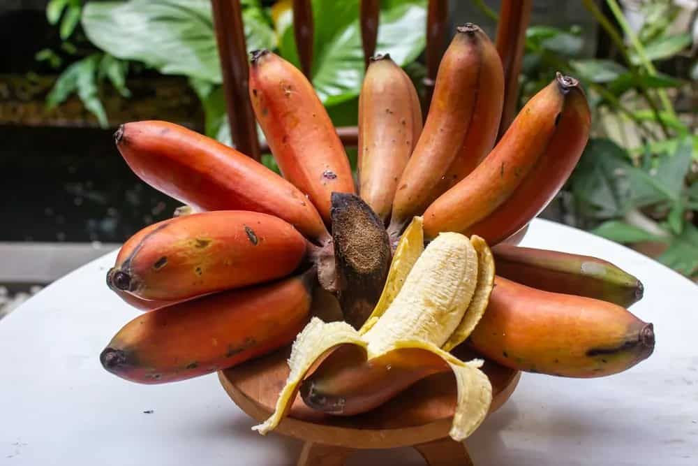 red sugar banana