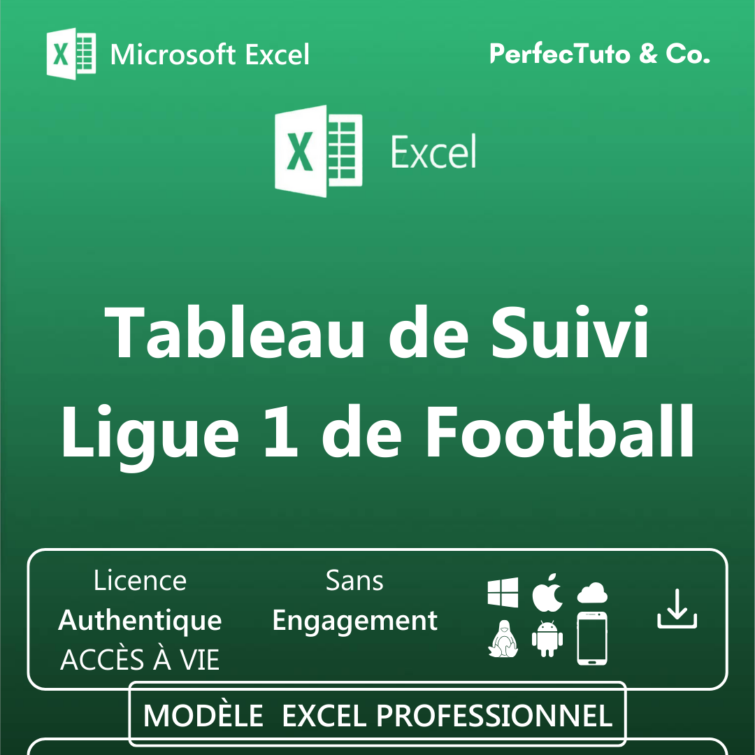 Fichier de Ligue 1 de Football_1