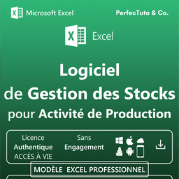 Logiciel de Gestion des Stocks pour Activité de Production