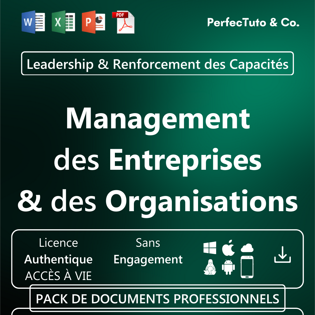 Management des Entreprises et des Organisations_1