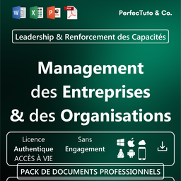 Management des Entreprises et des Organisations