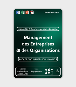 Management des Entreprises et des Organisations