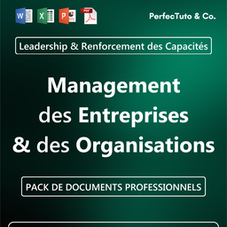 Management des Entreprises et des Organisations