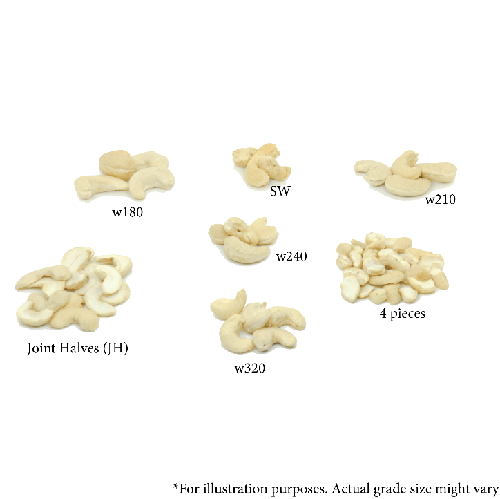 Cashew Samples (for B2B)_0