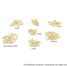 Cashew Samples (for B2B)