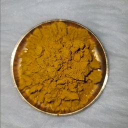 GMS Premium Kasturi Manjal Long-lasting